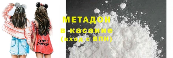 прущие грибы Богданович