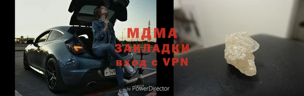 прущие грибы Богданович