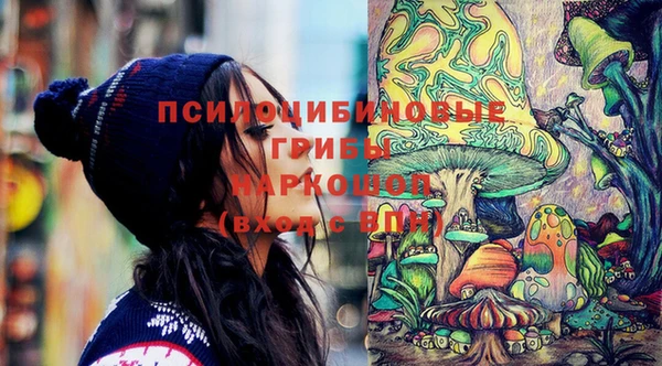 стаф Бронницы