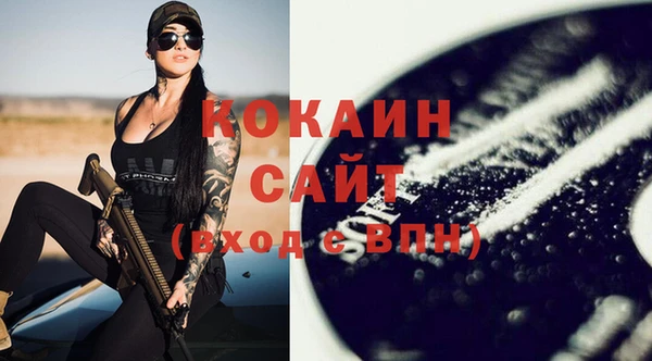 прущие грибы Богданович