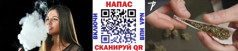 как найти наркотики  Городец  Конопля SATIVA & INDICA 